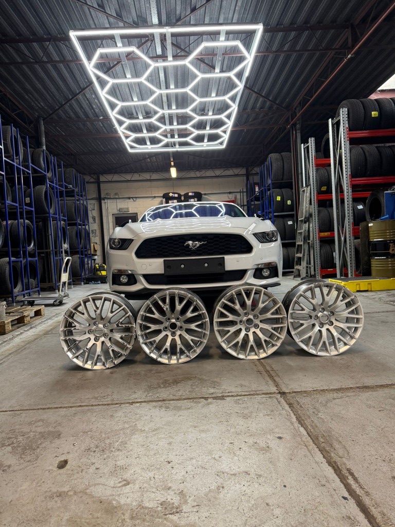 Velgen